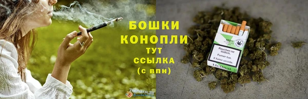 стаф Новокубанск