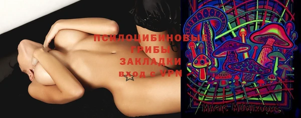 ECSTASY Корсаков