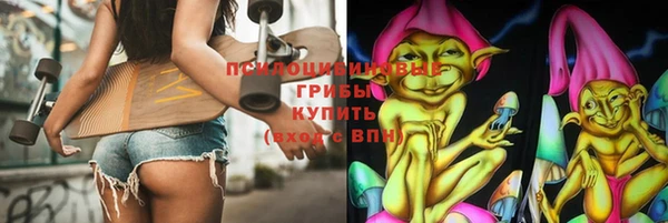 ECSTASY Корсаков