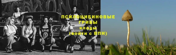 ECSTASY Корсаков