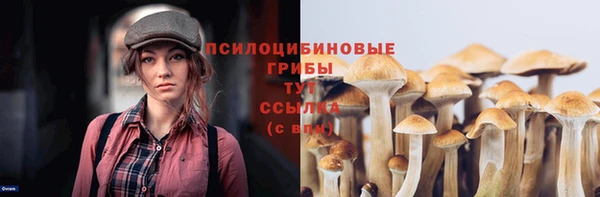 ECSTASY Корсаков
