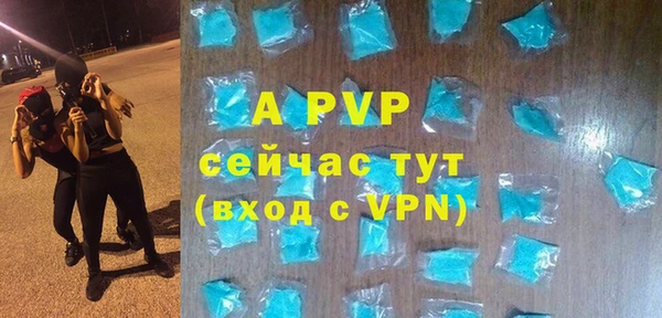 ECSTASY Корсаков
