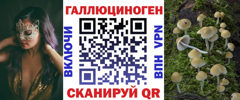 Галлюциногенные грибы Psilocybine cubensis  Москва 