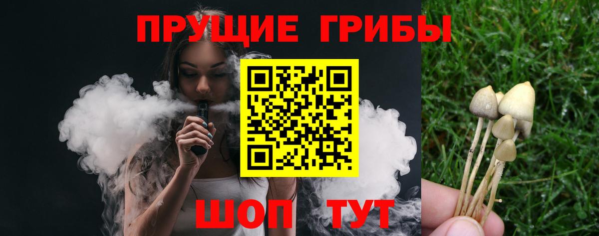 Москва  Галлюциногенные грибы Psilocybe  Вход с VPN 